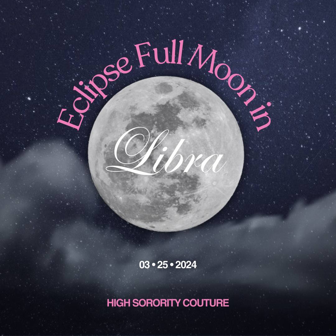 photo_2024-03-26 08.59.33